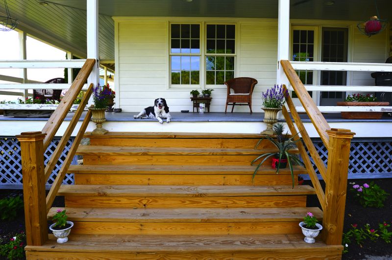 Deck Steps Repair in Olathe, KS